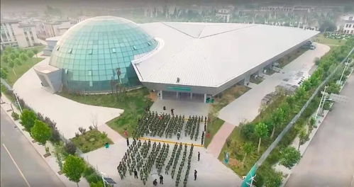 段然 最 土 的產業如何與市場接軌 2020博鰲文創周