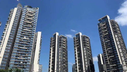 優化租房積分入學政策 深圳住建局發布最新措施并公開征求意見