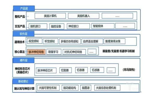 類(lèi)腦智能 人工智能基礎(chǔ)軟件開(kāi)發(fā)的另一條路徑
